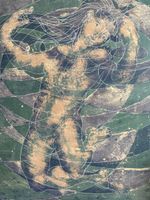ERNI Hans (1909-215) « Sommer » estampe signée et datée 